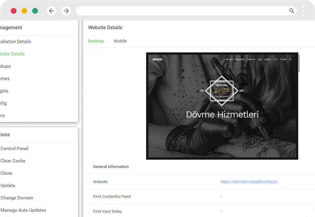 SEO Analizi — WordPress paneli